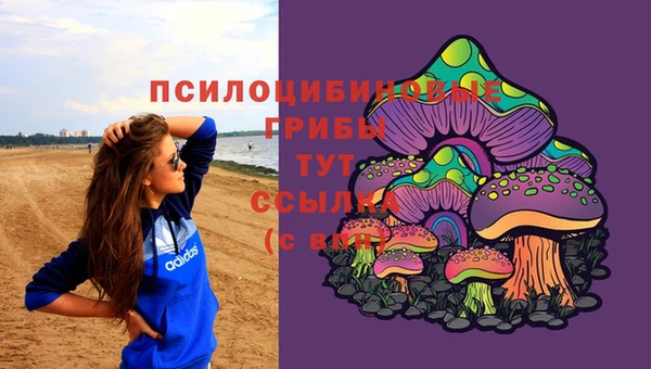 каннабис Магас